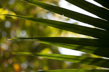 Similar image 8016397