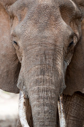 Similar image 8016401