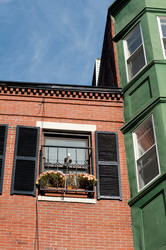 Similar image 8016405