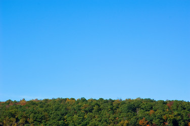 Similar image 8016408