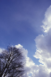 Similar image 8016409