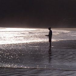 Similar image 8016414