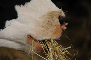 Similar image 8016415