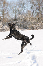 Similar image 8016421