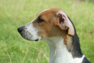 Similar image 8016422