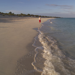 Similar image 8016423