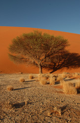 Similar image 8016424