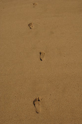 Similar image 8016432