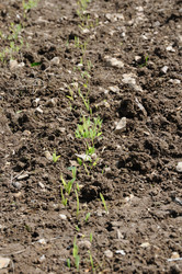 Similar image 8016436