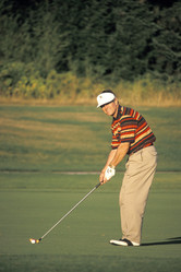 Similar image 8016437