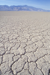 Similar image 8016441