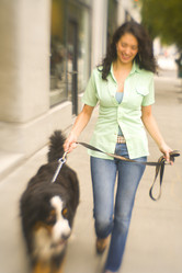 Similar image 8016442