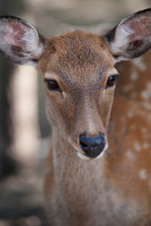 Similar image 8016451