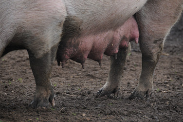 Similar image 8016457