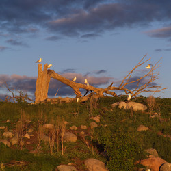 Similar image 8016458