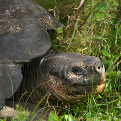 Similar image 8016459