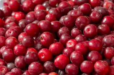 Similar image 8016462