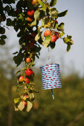 Similar image 8016464