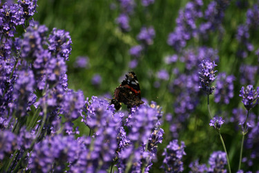 Similar image 8016467