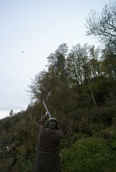 Similar image 8016468