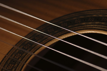 Similar image 8016473