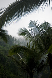 Similar image 8016481