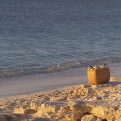 Similar image 8016484