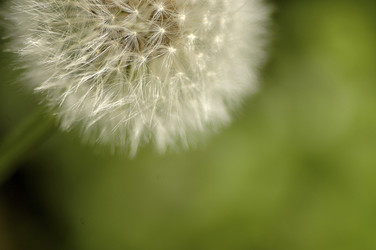 Similar image 8016496