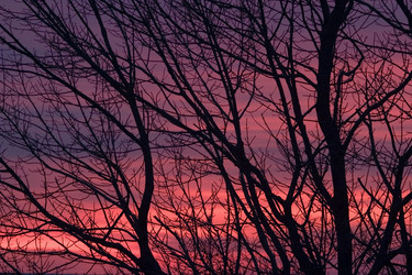 Similar image 8016498