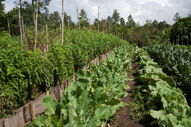 Similar image 8016499