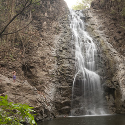 Similar image 8016536