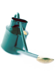 Similar image 8016541