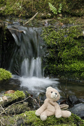 Similar image 8016544