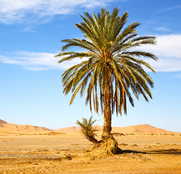 Similar image 8016565