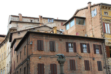 Similar image 8016584