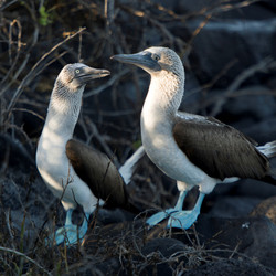 Similar image 8016585