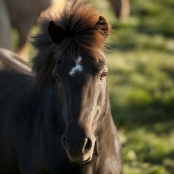 Similar image 8016587