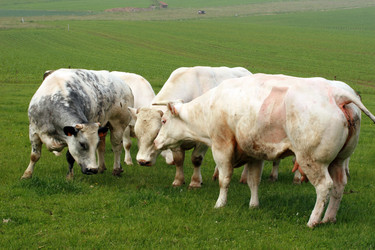 Similar image 8016593