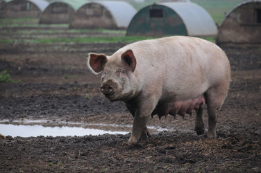 Similar image 8016613