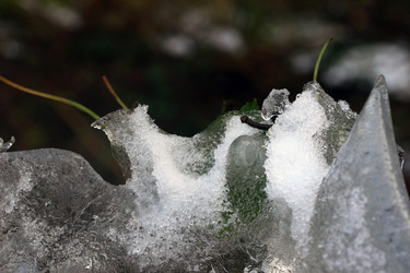 Similar image 8016623