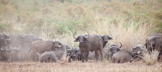 Similar image 8016630