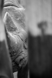 Similar image 8016632