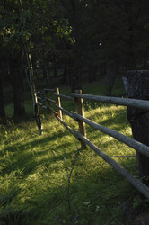 Similar image 8016638