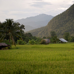 Similar image 8016641