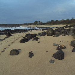 Similar image 8016644