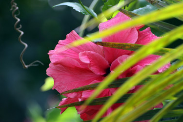 Similar image 8016646