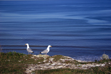 Similar image 8016665