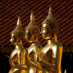 Similar image 8016667