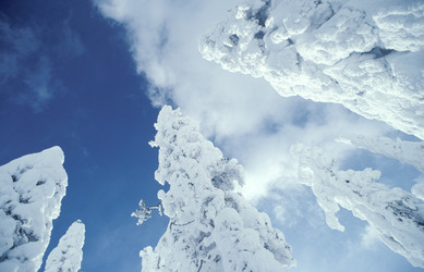 Similar image 8016673