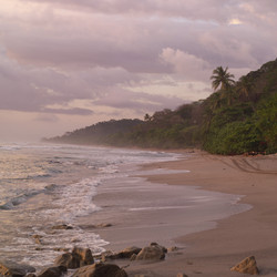 Similar image 8016675